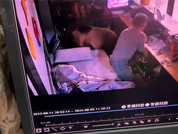 男子凌晨睜眼床邊站了一頭熊 逃跑不忘拿手機 網友:情緒穩定(圖4) 男子凌晨睜眼床邊站了一頭熊 逃跑不忘拿手機 網友:情緒穩定