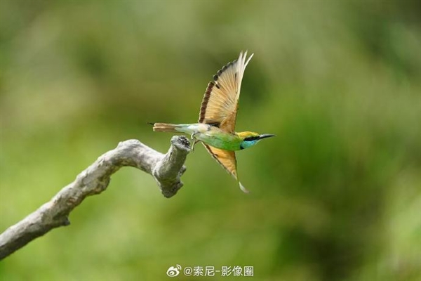 新一代全畫幅旗艦微單！索尼A1M2正式發布：47999元