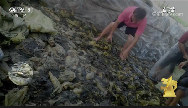 315曝光土坑酸菜廠拒付百萬罰款 法人成老賴(圖1) 315曝光土坑酸菜廠拒付百萬罰款 法人成老賴