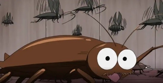 蟑螂開始對殺蟲劑無感了 德國蟑螂產生抗藥性(圖1) 蟑螂開始對殺蟲劑無感了 德國蟑螂產生抗藥性