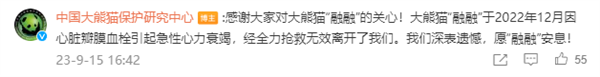 大熊貓“公主”和“融融”已離世:官方公布原因令人痛心(圖2) 大熊貓“公主”和“融融”已離世:官方公布原因令人痛心