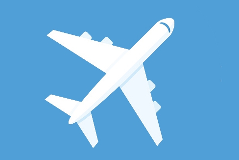 男子乘飛機2小時未起身致肺栓塞身亡 醫生：狹小空間內血流減慢