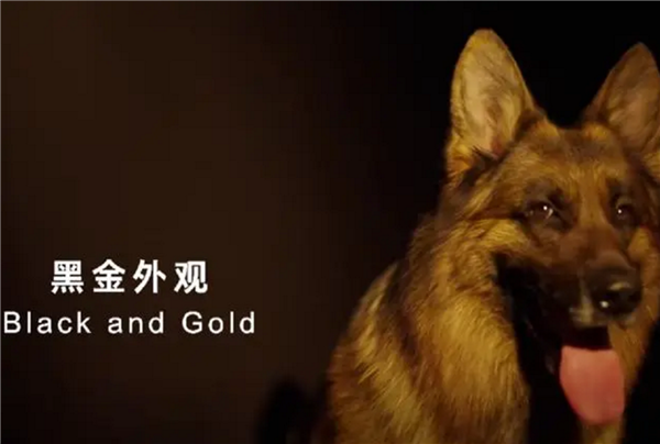 簡單高效!只有中國人才能看懂的散裝英文 網(wǎng)友直呼越看越上頭 (圖1) 簡單高效!只有中國人才能看懂的散裝英文 網(wǎng)友直呼越看越上頭