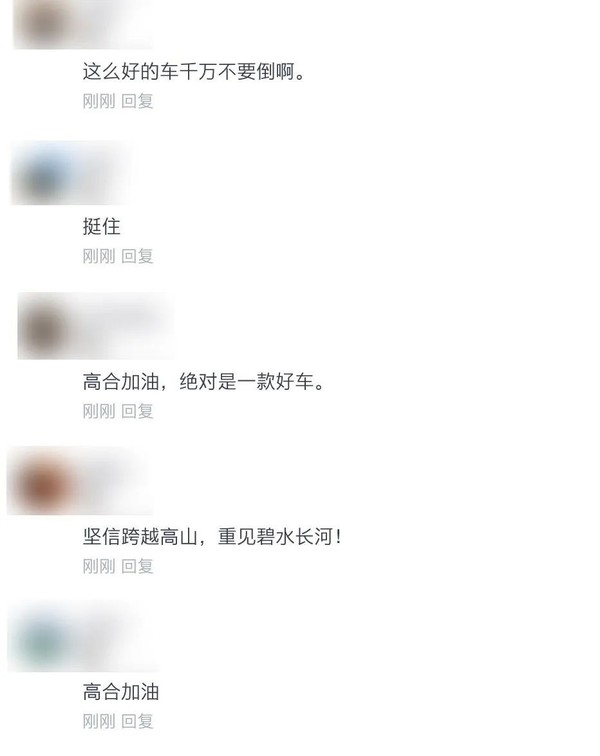 車主稱高合是中國汽車的驕傲 奔馳和保時捷后來都賣了(圖1) 車主稱高合是中國汽車的驕傲 奔馳和保時捷后來都賣了